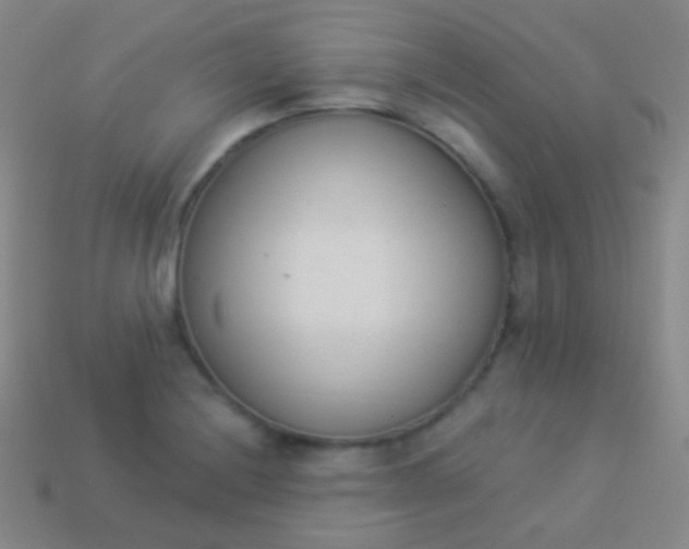 X0000114241228200910231517