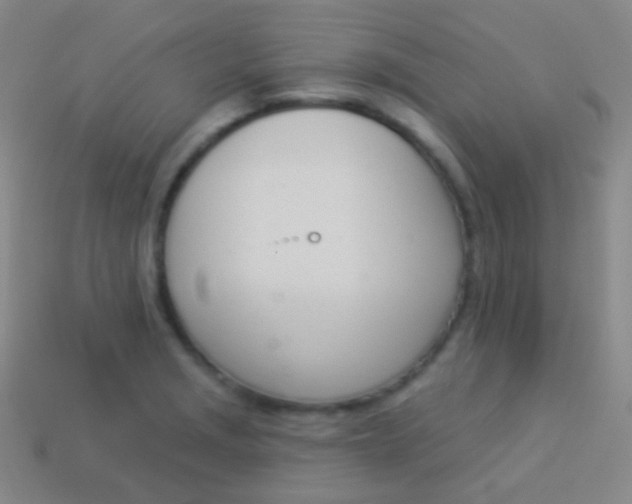 X0000114241229200910231517