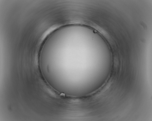 X0000114241230200910231517