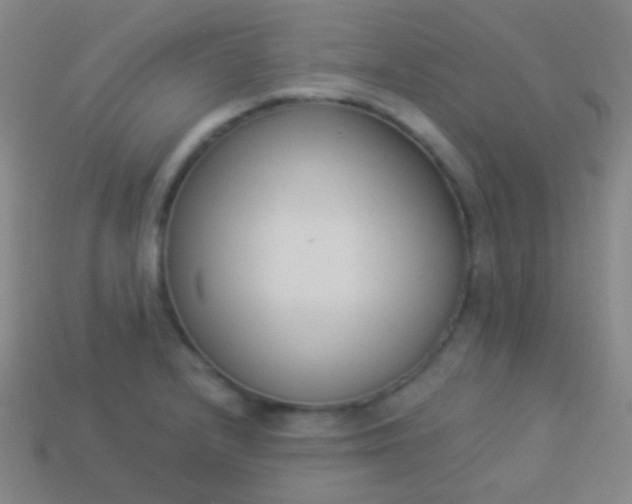 X0000114241232200910231517