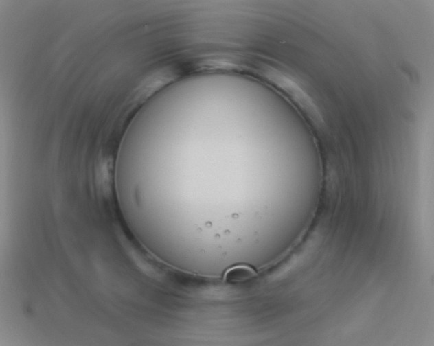 X0000114241233200910231517