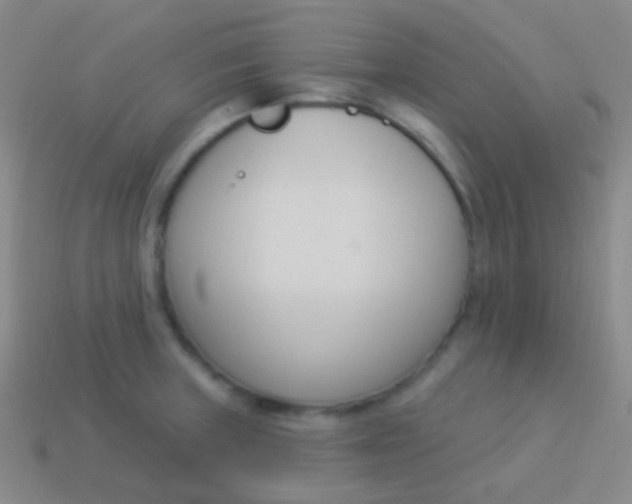 X0000114241235200910231517