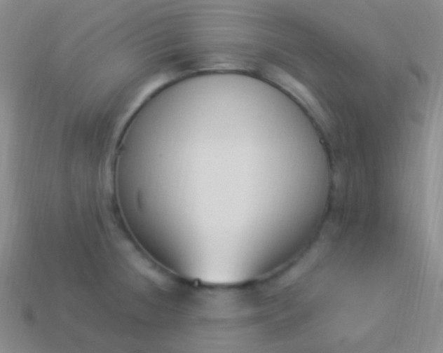 X0000114241236200910231517