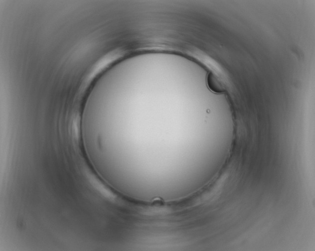 X0000114241238200910231517
