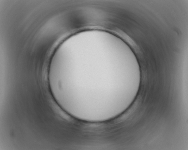X0000114241240200910231517