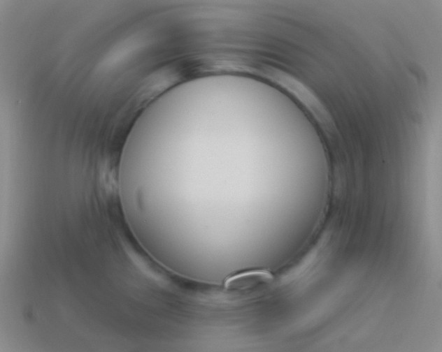 X0000114241241200910231517