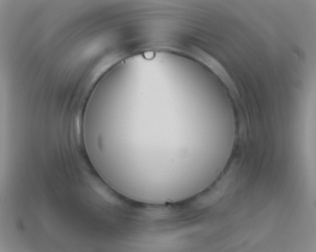 X0000114241242200910231517