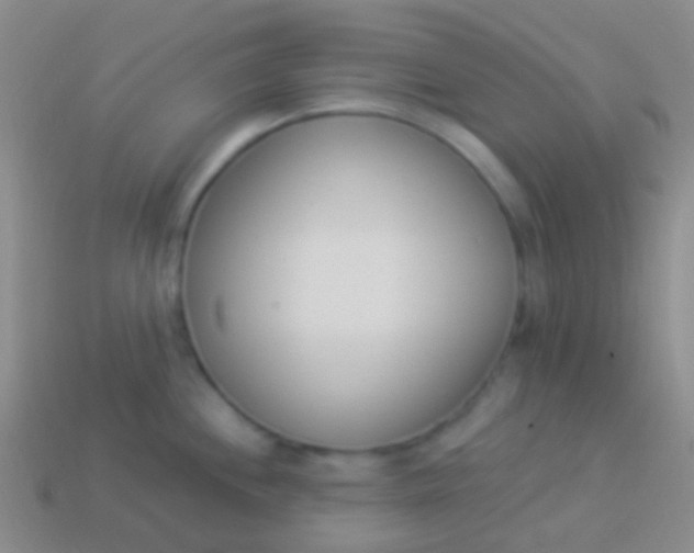 X0000114241244200910231517