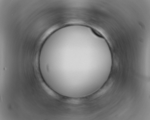 X0000114241245200910231517