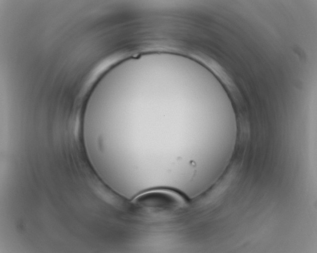 X0000114241246200910231517