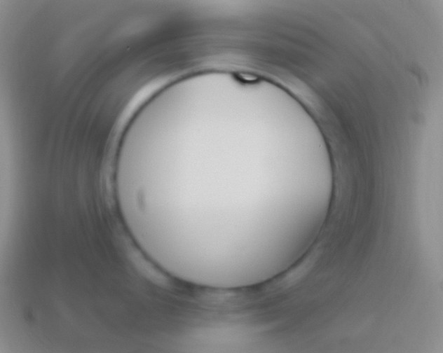 X0000114241248200910231517