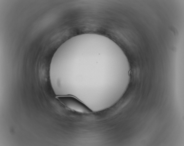 X0000114241250200910231517
