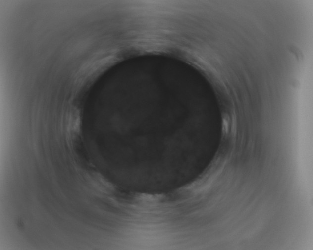 X0000114241251200910231517