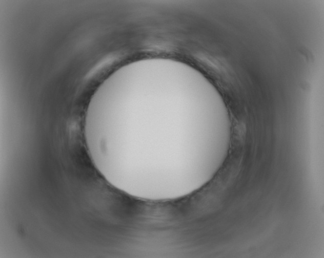 X0000114241254200910231517