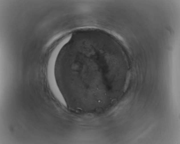 X0000114241255200910231517