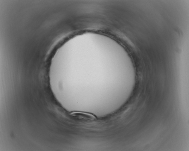 X0000114241256200910231517