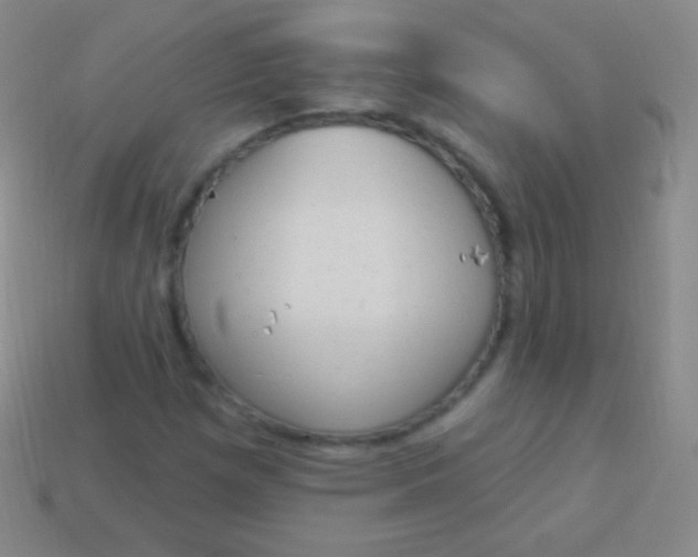 X0000114241257200910231517