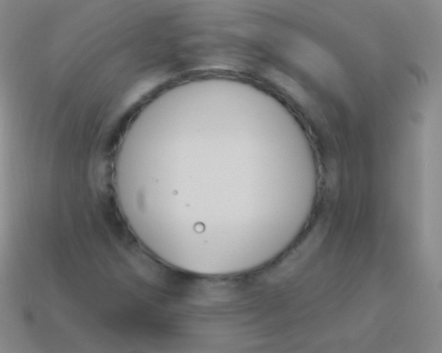 X0000114241258200910231517