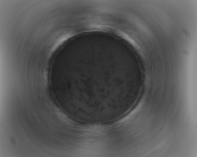 X0000114241259200910231517