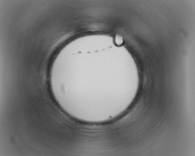 X0000114241261200910231517