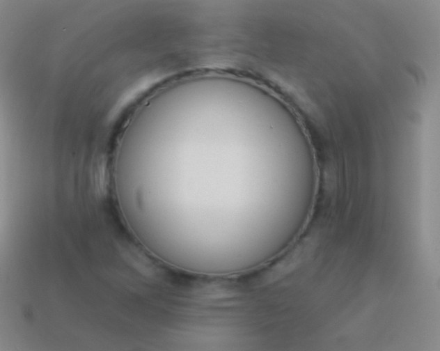 X0000114241262200910231517