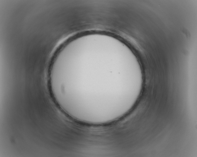 X0000114241264200910231517