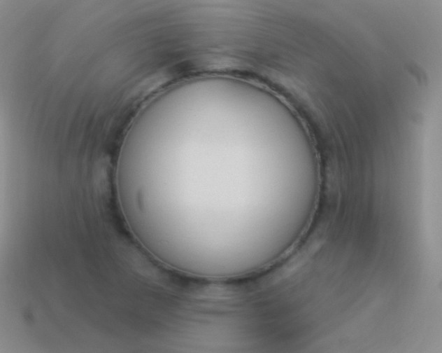 X0000114241265200910231517