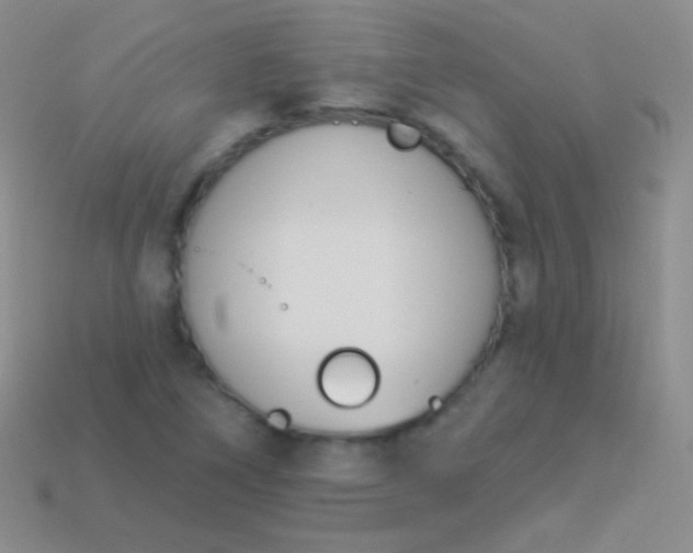 X0000114241266200910231517