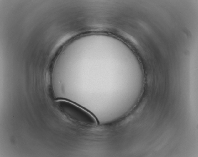 X0000114241267200910231517