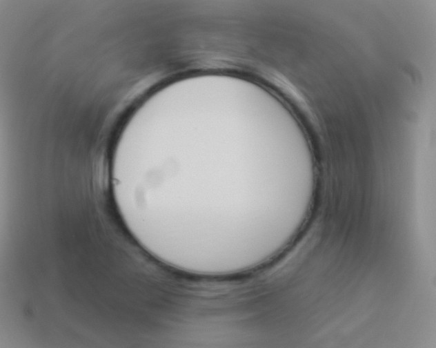 X0000114241269200910231517