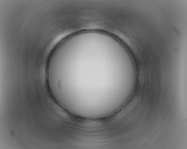 X0000114241270200910231517