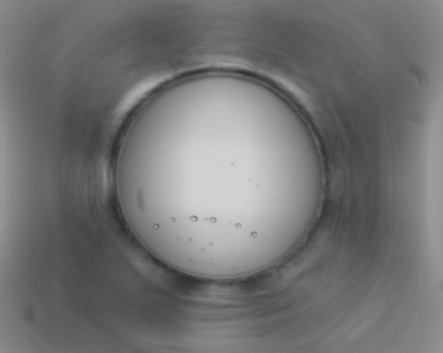 X0000114241271200910231517
