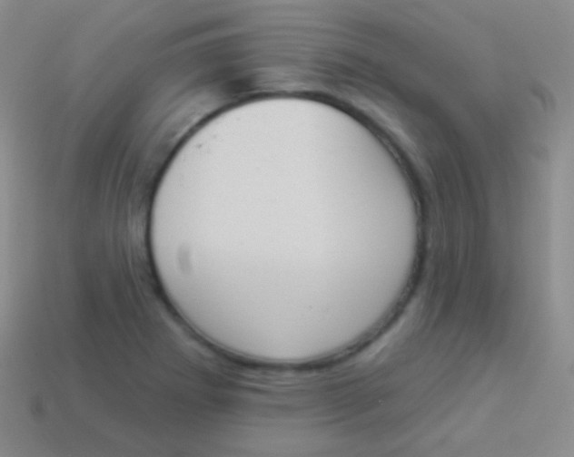 X0000114241273200910231517
