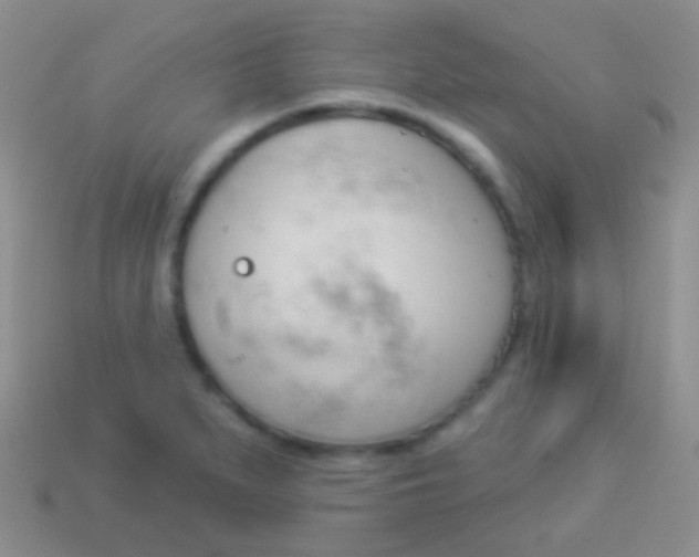 X0000114241279200910231516