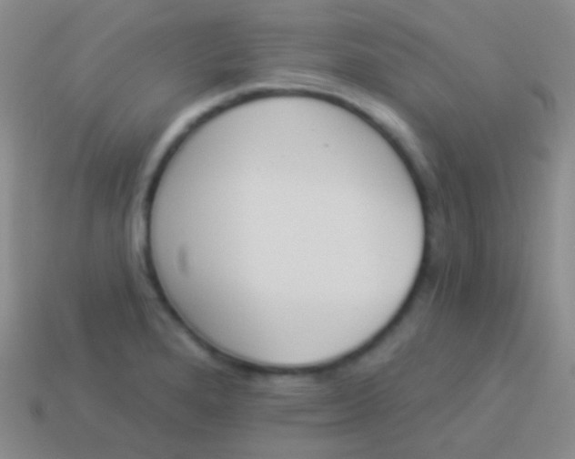 X0000114241280200910231516