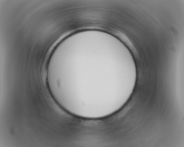 X0000114241284200910231516