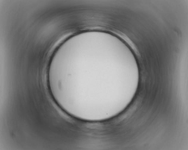 X0000114241285200910231516
