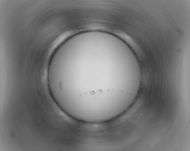 X0000114241286200910231516