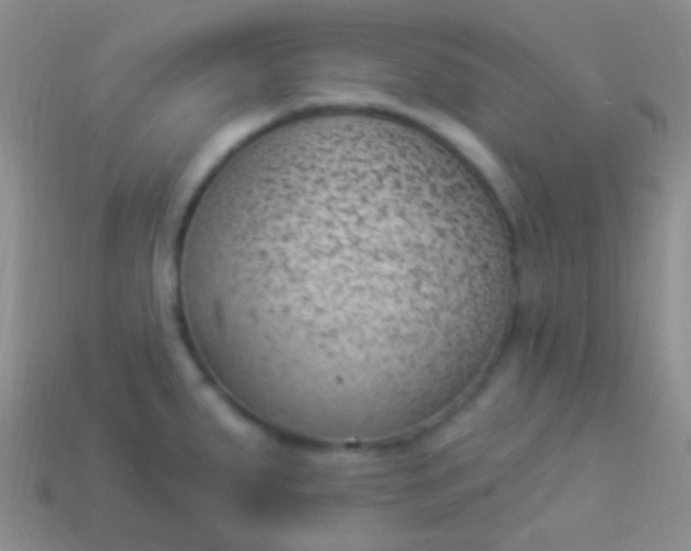 X0000114241287200910231516