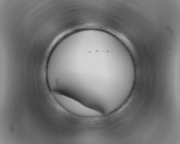 X0000114241288200910231516