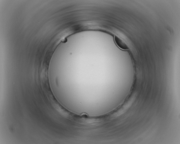 X0000114241289200910231516