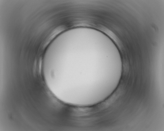 X0000114241290200910231516