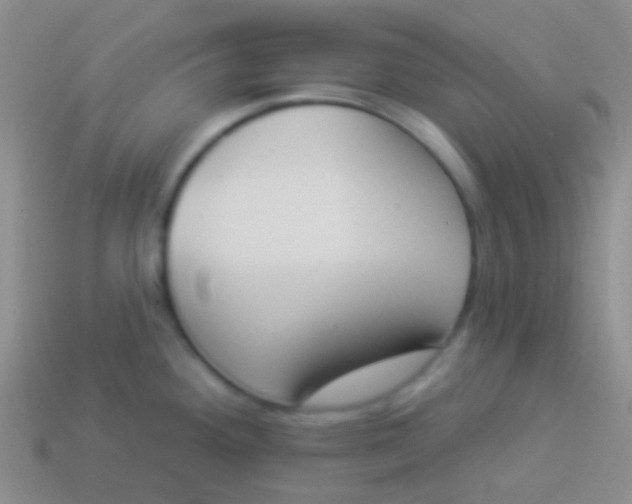 X0000114241292200910231516