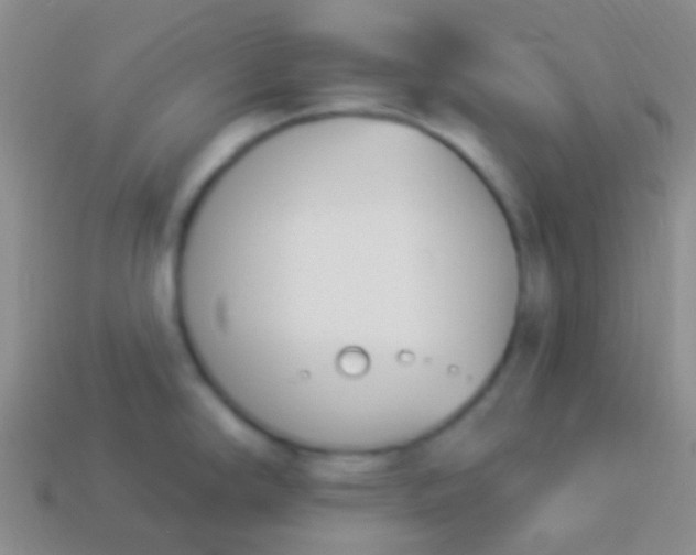 X0000114241294200910231516