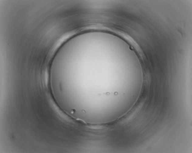 X0000114241295200910231516