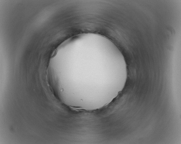 X0000114241297200910231516
