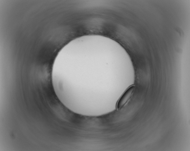 X0000114241298200910231516