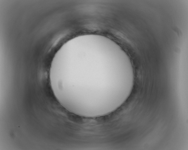 X0000114241302200910231516