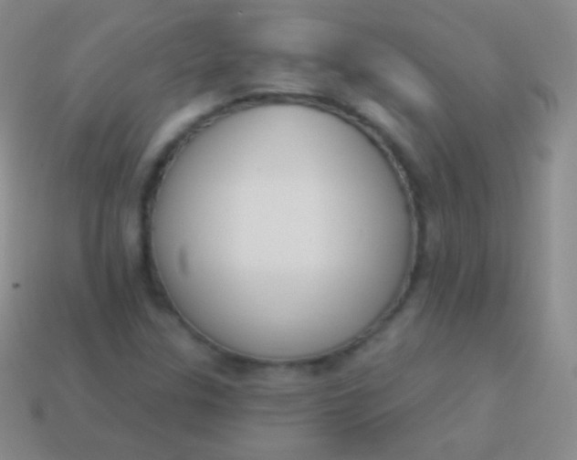 X0000114241307200910231516