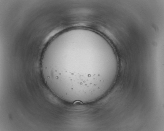 X0000114241308200910231516